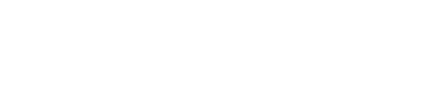 Zenith Intelligence